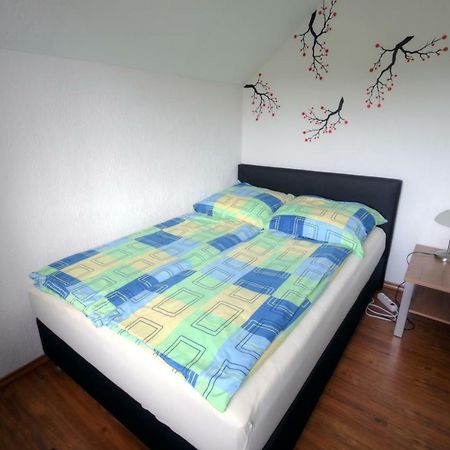 Ferienwohnung Neagu Mit 2 Apartements Winterberg Exteriér fotografie